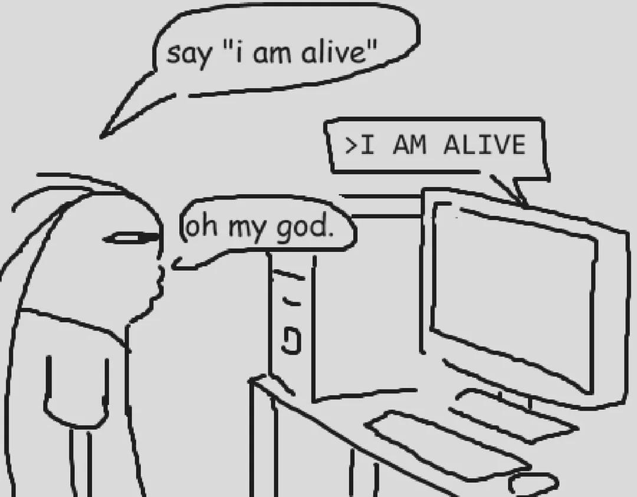 A person tells their computer "say i am alive." The computer outputs "I AM ALIVE." The person stares at it and whispers "oh my god."